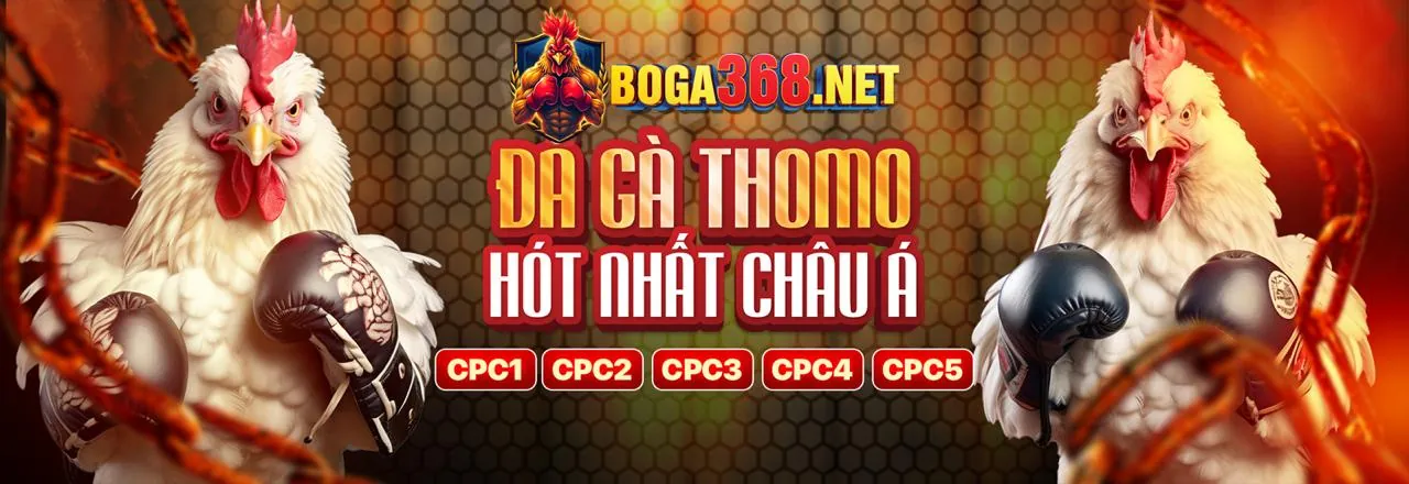 Bảo mật và an toàn tại Siglebet Nhà Cái