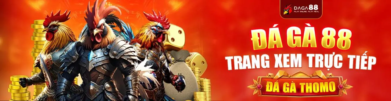 Đá gà trực tuyến sôi động tại nhà cái Siglebet