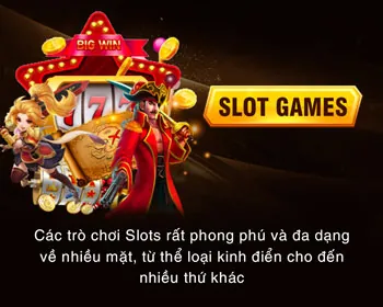 Nền tảng Siglebet nhà cái uy tín